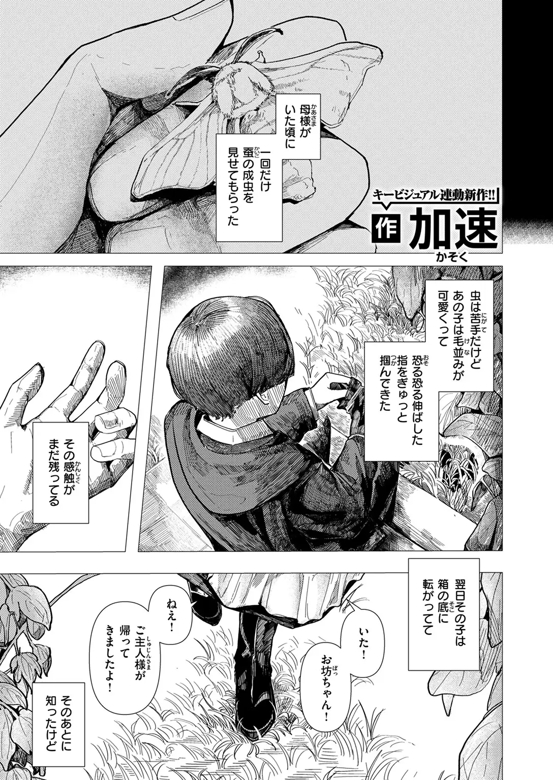 蚕のひとつ覚え 無料画像 3